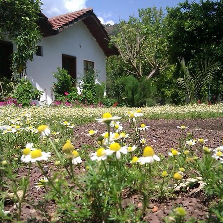 Engin Pension Cirali Bagian luar foto