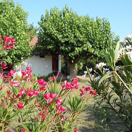 Engin Pension Cirali Bagian luar foto