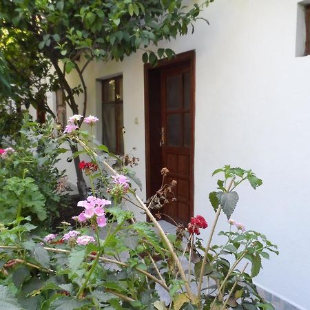 Engin Pension Cirali Bagian luar foto