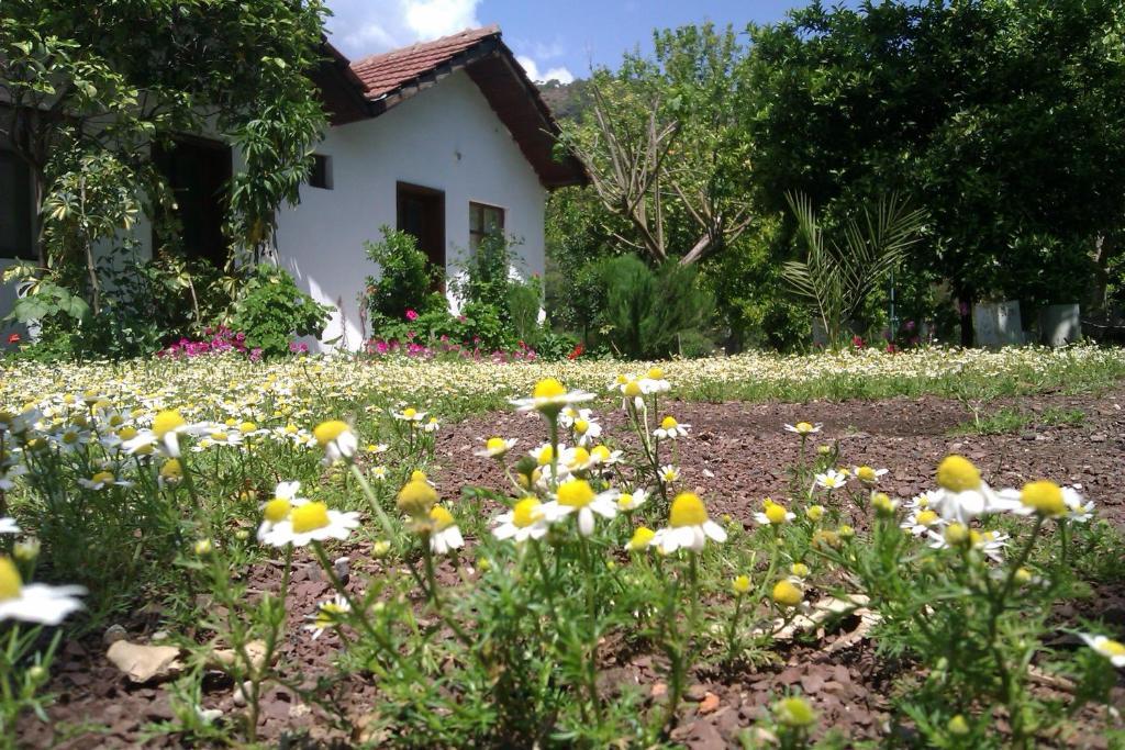 Engin Pension Cirali Bagian luar foto