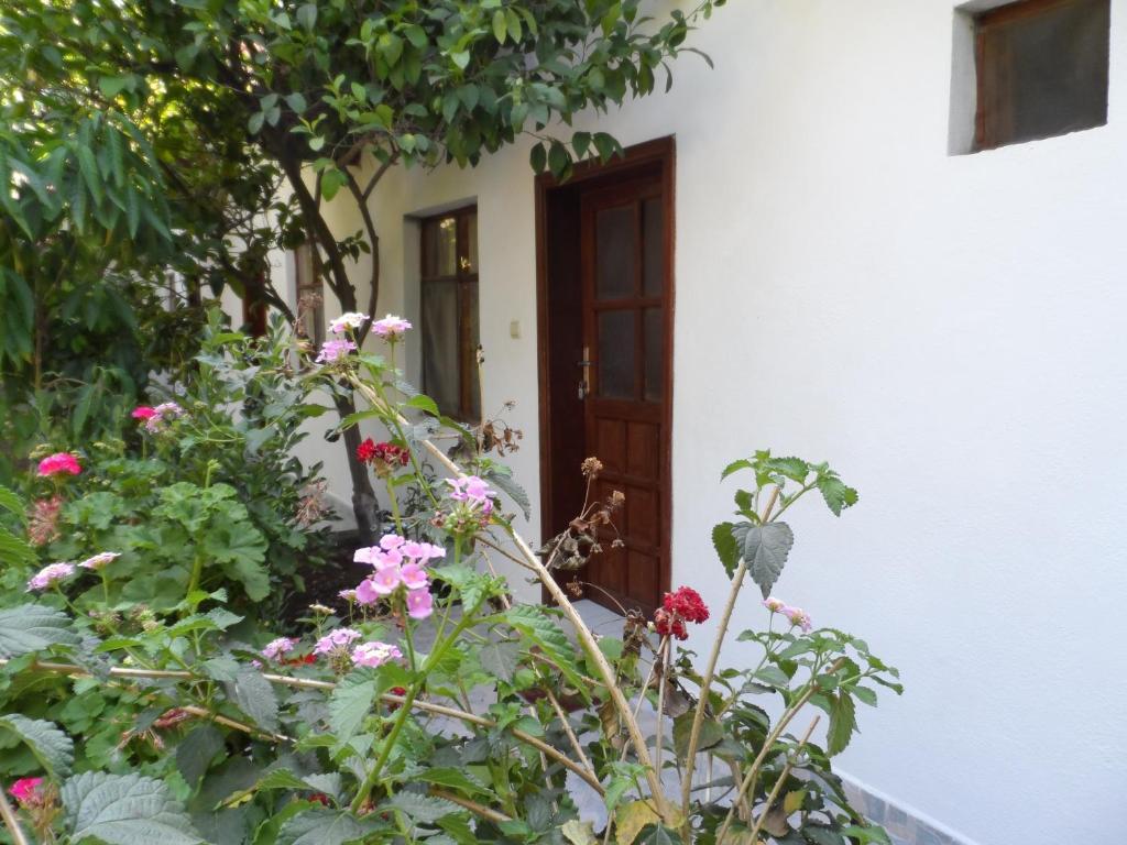 Engin Pension Cirali Bagian luar foto