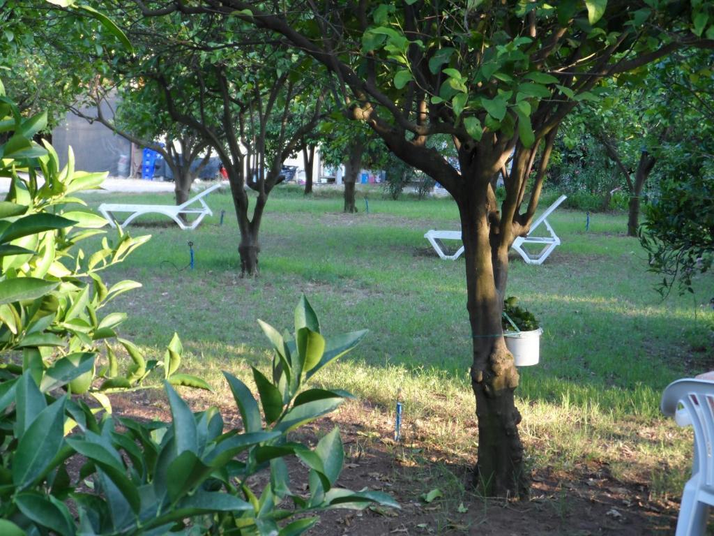Engin Pension Cirali Bagian luar foto