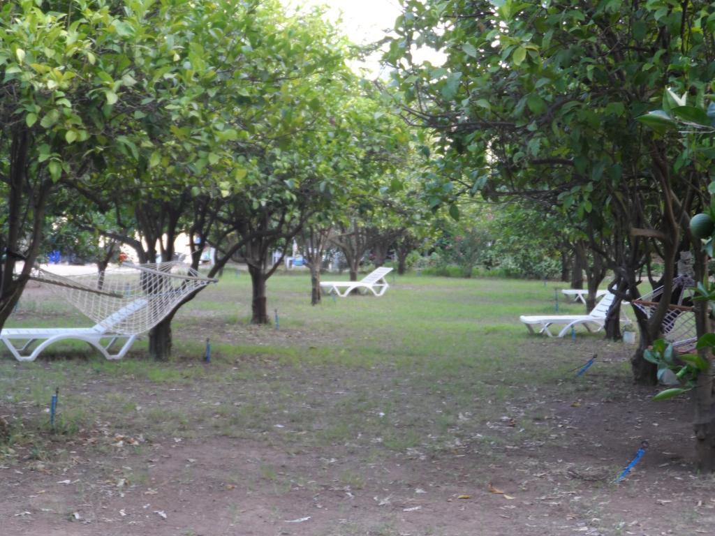 Engin Pension Cirali Bagian luar foto